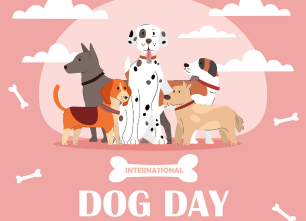 Creative POD Ideas for International Dog Day