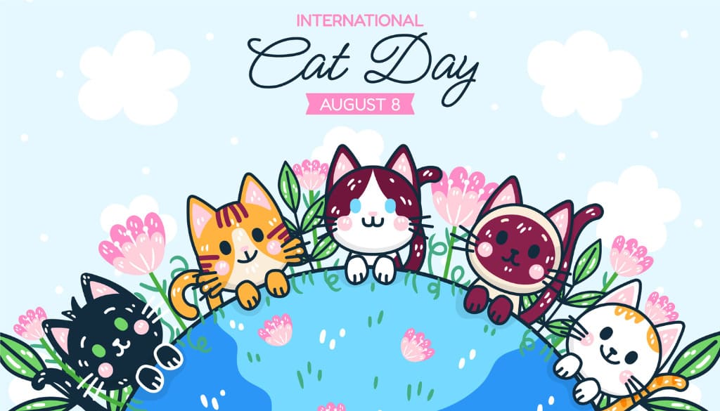 International Cat Day là ngày gì?