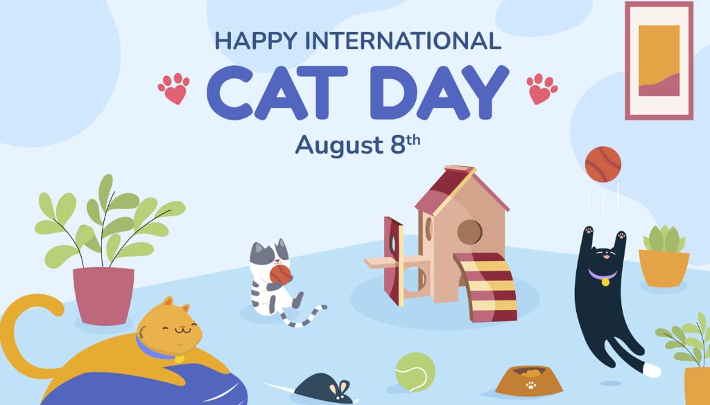 POD Product Promotion Campaign for Cat Owners and Lovers