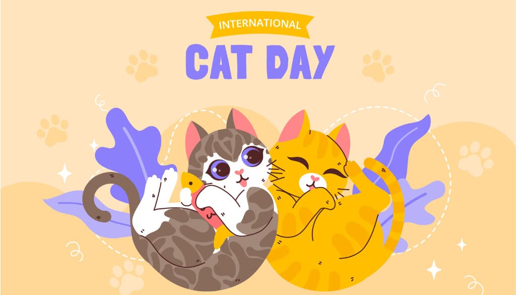 Tại sao International Cat Day là cơ hội cho kinh doanh POD?