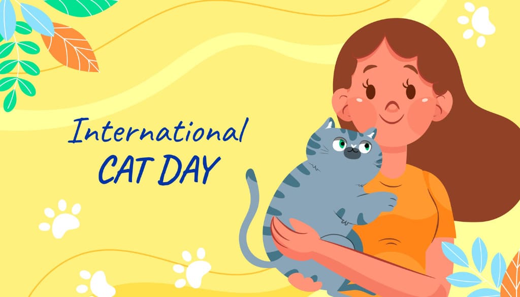 Tổng hợp những sản phẩm POD hút khách dịp International Cat Day