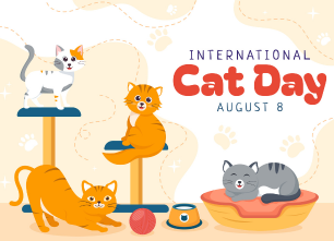 Top những sản phẩm POD Hot dịp International Cat Day