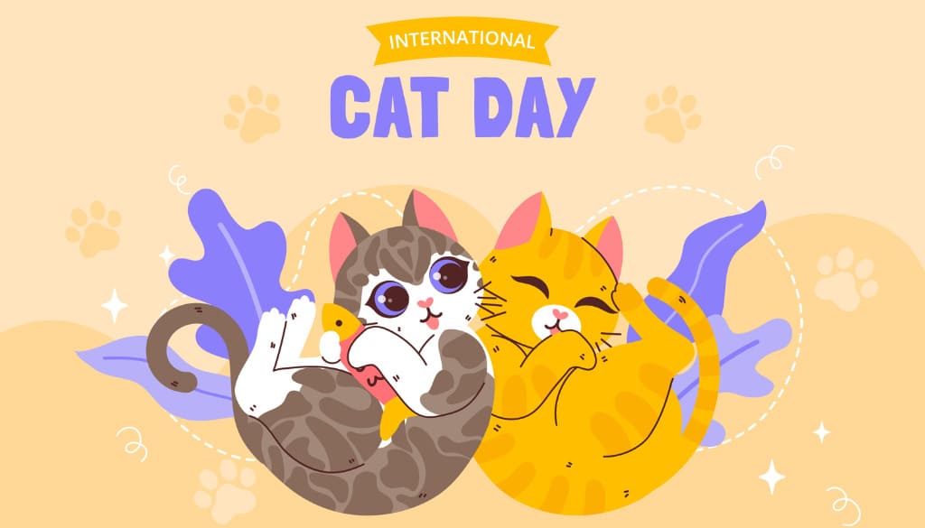 Why is International Cat Day an Opportunity for POD Businesses?