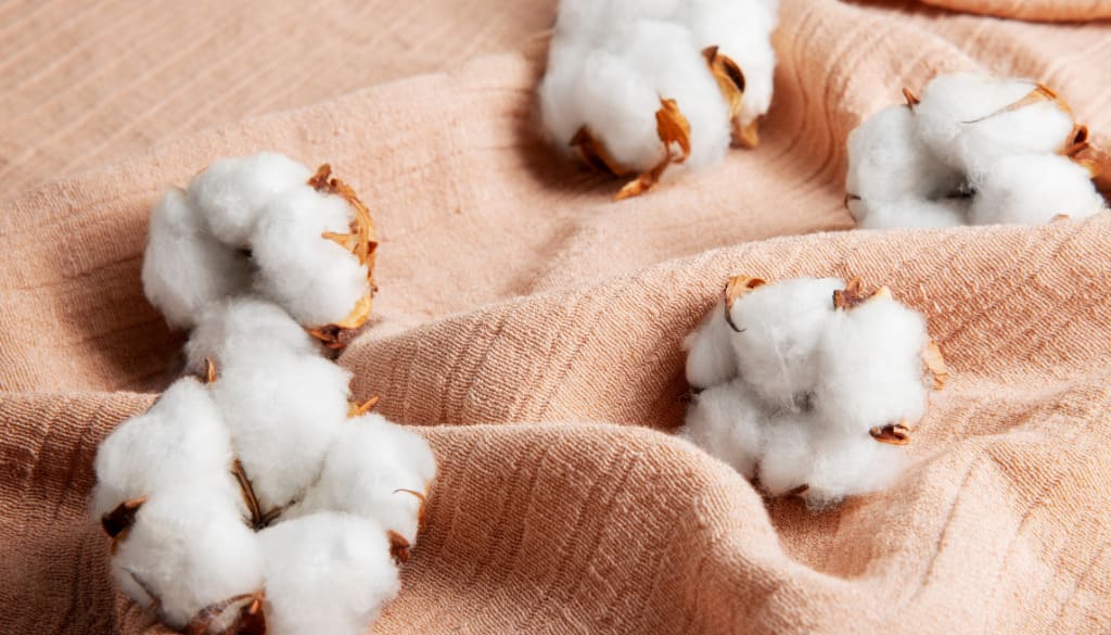 What Is Organic Cotton?