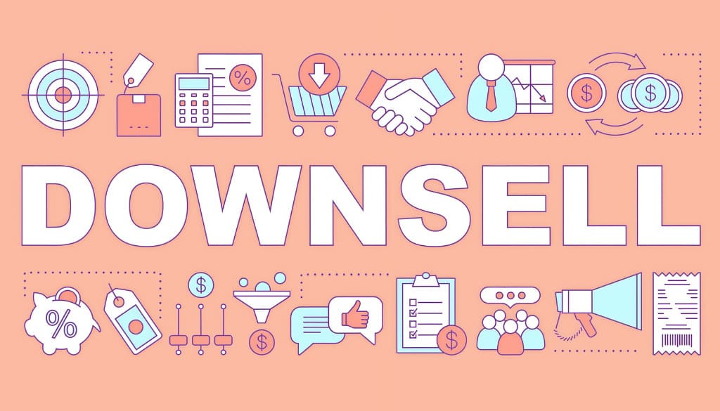 What is Downsell?