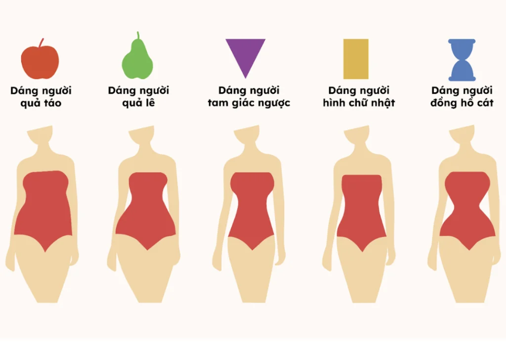 Body Type